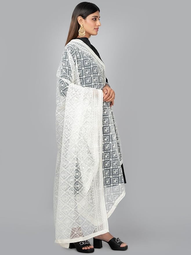 Premium Lucknowi Net Dupatta – Dyeable, Full-Length Ethnic Wrap for Women