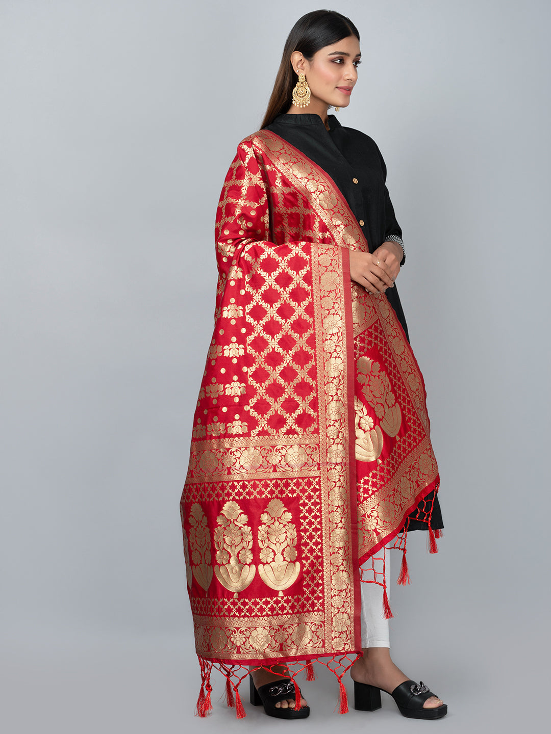 Rich Banarasi jacquard dupatta with intricate woven patterns and traditional motifs, showcasing a luxurious texture—perfect for festive occasions and ethnic wear.